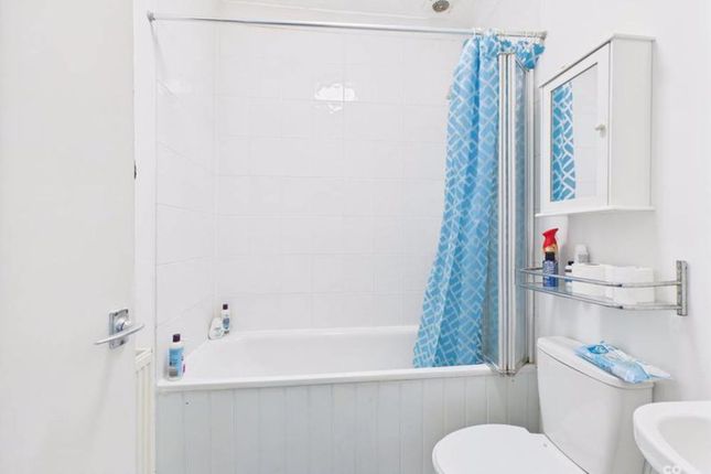 TFF, 227 Elm Grove, Brighton photo 4