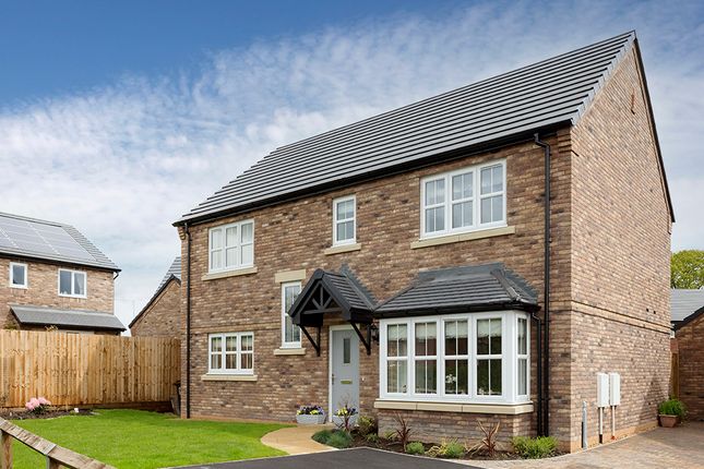 Thumbnail Detached house for sale in "Wilson" at Beaumont Hill, Darlington