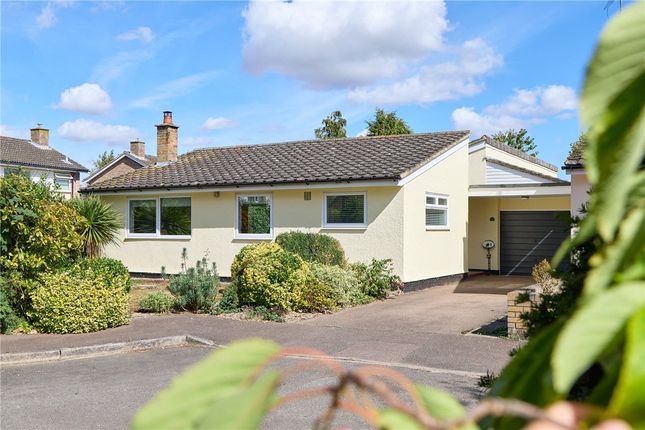4-bed house on 43, The Rookery, Cambridge, £425,000