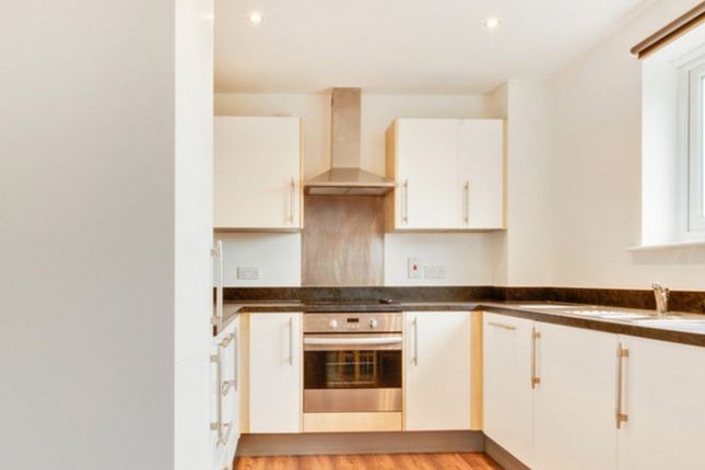77, Caelum Drive, Colchester photo 2