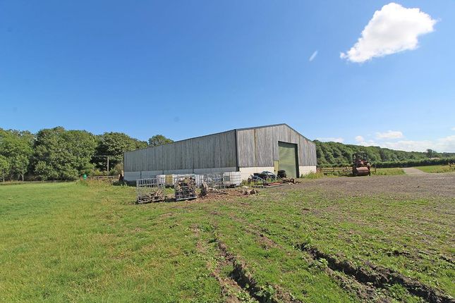 Barn conversion for sale in Knaresborough Road, Littlethorpe, Ripon