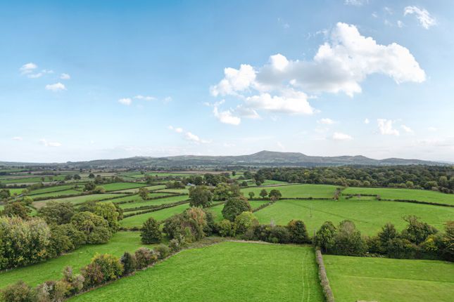 -68Dd63A709F8B-13...