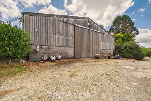 Rhysgwyllt Farmhouse, Letterston, Haverfordwest photo 3