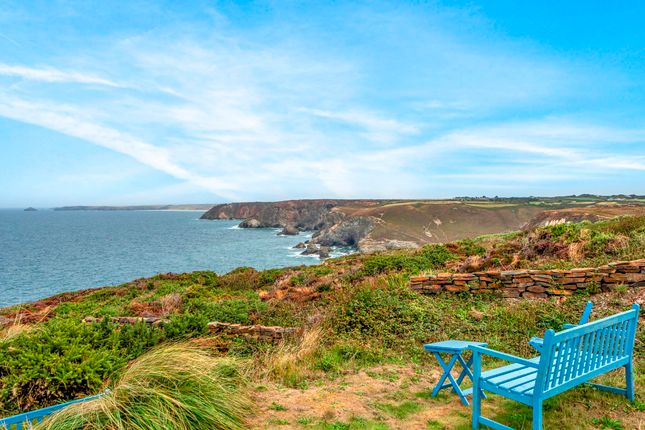 Anchor Cottage, St. Agnes photo 4