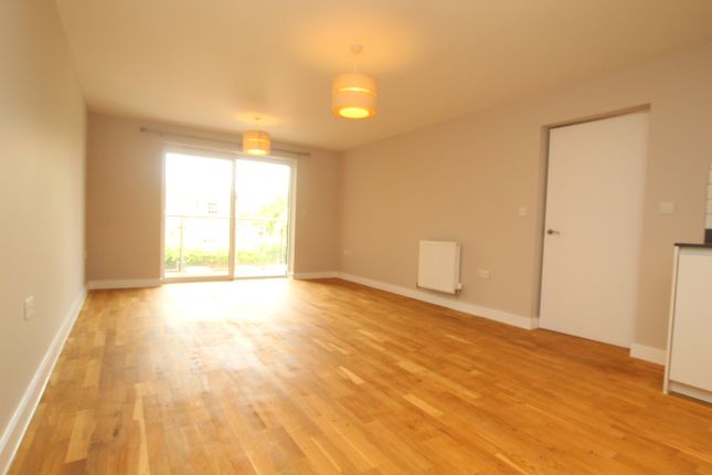 8, Edeva Court, Cambridge photo 4