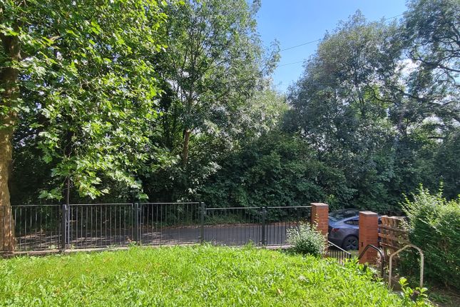 25, Millthorpe Road, Sheffield photo 3