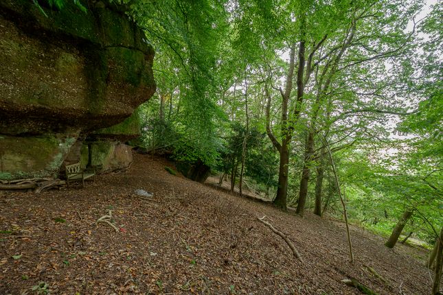 The Cider Press, Sawpitts Lane, Ross-on-Wye photo 2
