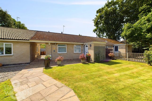 Thumbnail Semi-detached bungalow for sale in St. Laurence Avenue, Brundall, Norwich