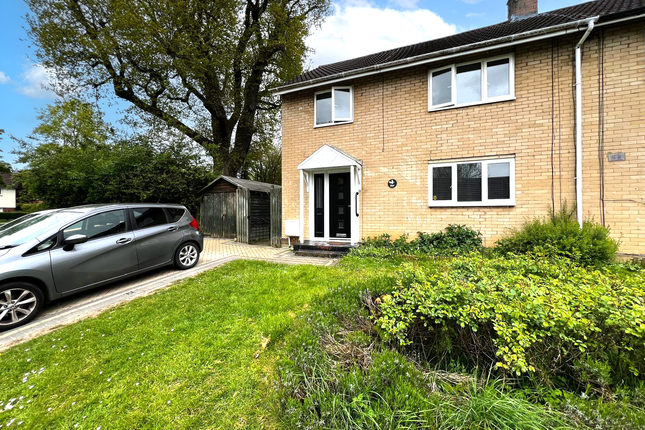 Thumbnail Semi-detached house to rent in Thistle Grove, Welwyn Garden City