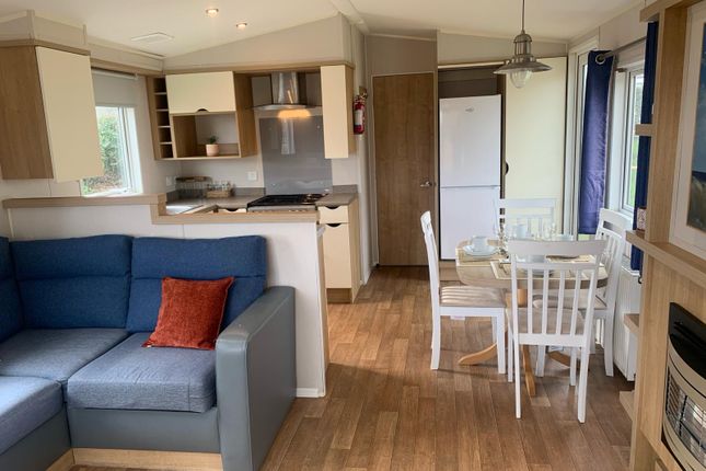 Dartmoor View Holiday Park, Dartmoor View Holiday Park, OKEHAMPTON photo 2