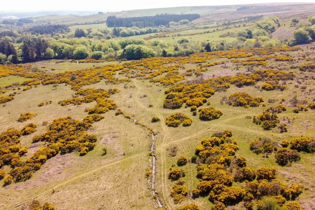 Thumbnail Land for sale in Buckfastleigh, Dartmoor National Park, Devon