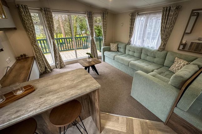 Drimsynie Holiday Village - Willerby - Brookwood - 2021 -73040