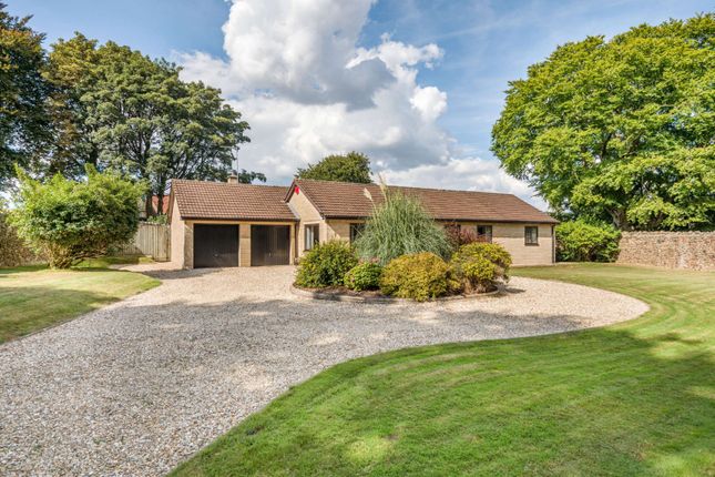 Thumbnail Bungalow for sale in Wells Road, Chilcompton, Radstock, Somerset