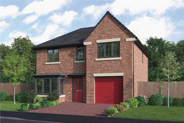 Thumbnail Detached house for sale in "The Maplewood" at Priory Gardens, Corbridge