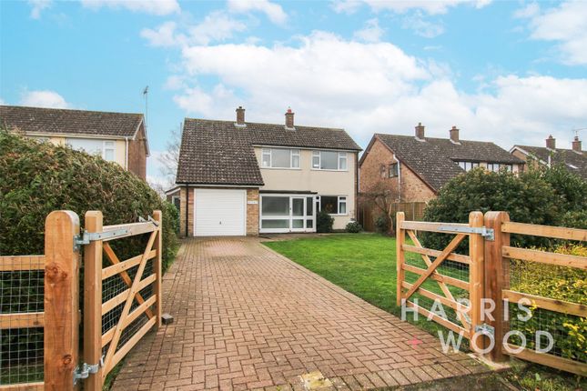 Thumbnail Detached house for sale in The Street, Bradfield, Manningtree, Essex