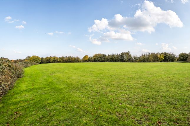 CHURCHFIELD FARM, Westbury photo 4