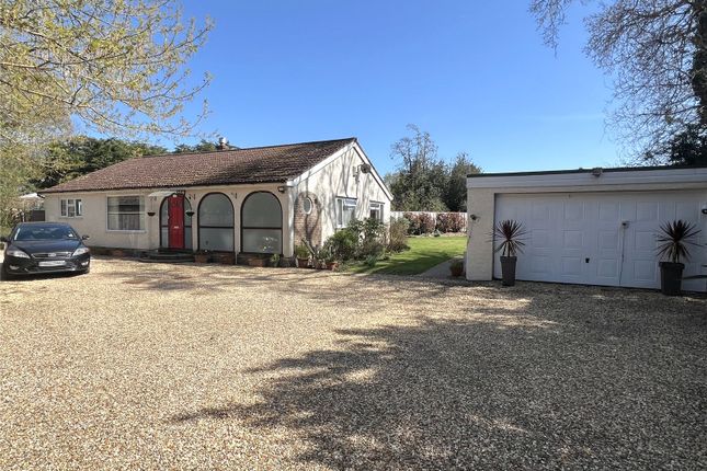 The Property