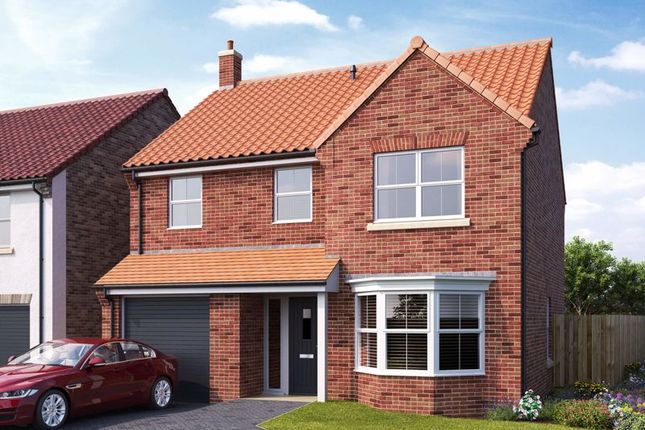 Thumbnail Detached house for sale in Buckingham, Old Millers Rise, Leven, Beverley