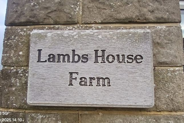 Thumbnail Detached bungalow to rent in Lambs House Farm, Elwick, Hartlepool, County Durham