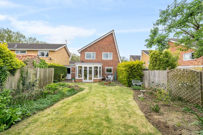 Detached house to rent in St. Nicholas Drive, Shepperton