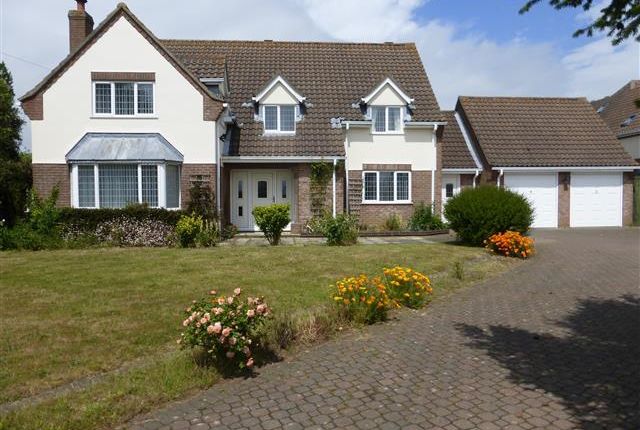 Thumbnail Property To Rent In Norwich Road Ludham Great Yarmouth Thumbnail Property To Rent In Norwich Road Ludham Great Yarmouth