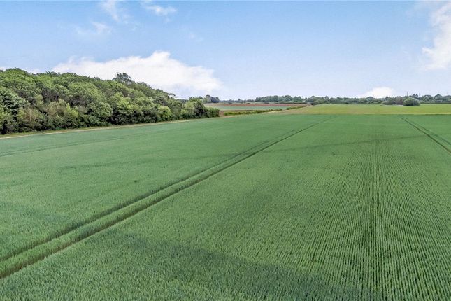 Thumbnail Land for sale in Northolm Farm, Eye Green, Peterborough, Cambridgeshire