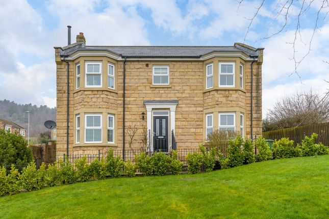 Thumbnail Detached house for sale in Whitton View, Rothbury, Morpeth