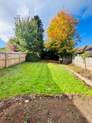 Deeds Grove, High Wycombe photo 5