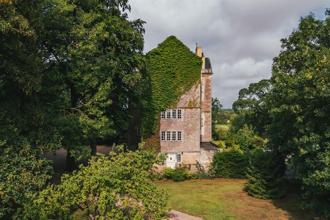 Exterior And Gardens