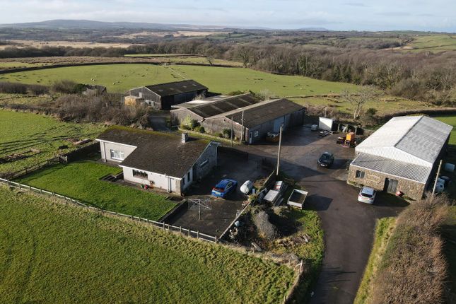 Fairwood Corner Farm, Fairwood, Swansea photo 2