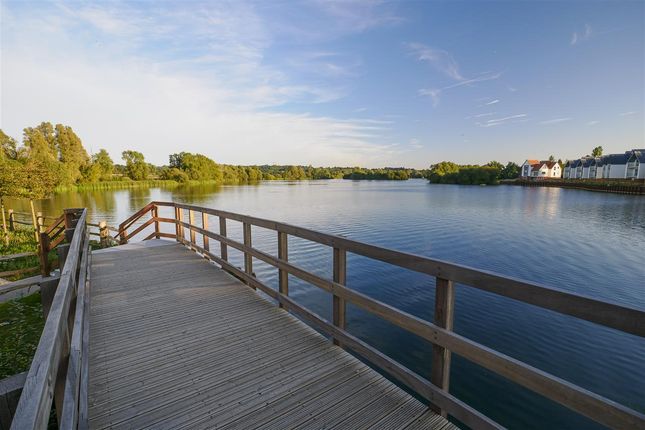 Link-detached house for sale in Cornflower, Conningbrook Lakes, Ashford