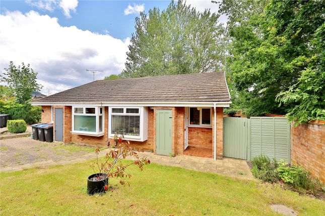 Thumbnail Bungalow for sale in Wilders Close, St. John's, Woking, Surrey