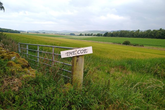 Land for sale in Land At The Coe, The Coe, Menmuir, Brechin, Scotland