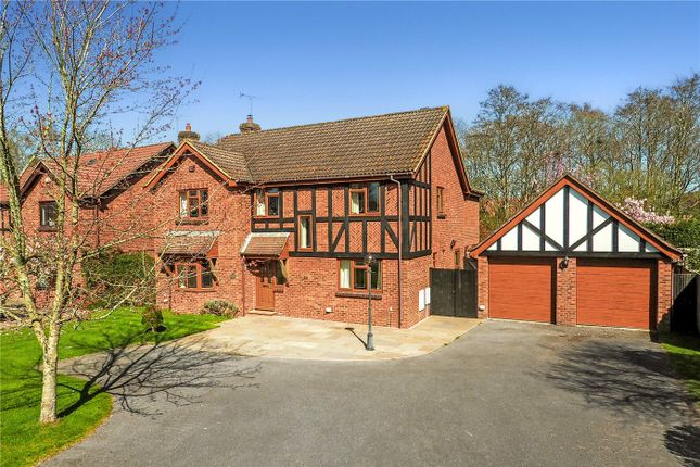 Thumbnail Detached house for sale in Barnfield Road, Petersfield, Hampshire