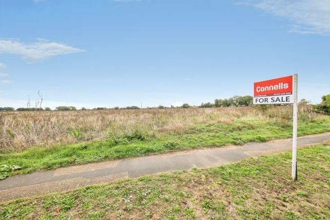 Broom Knoll, Colchester photo 3