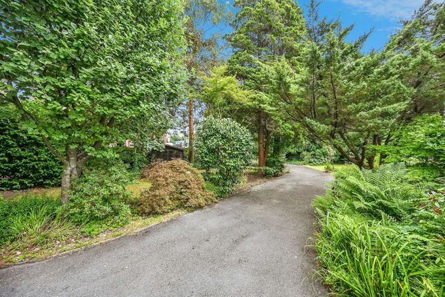 Deep Dene, 7, Rose Lane, Merseyside photo 3
