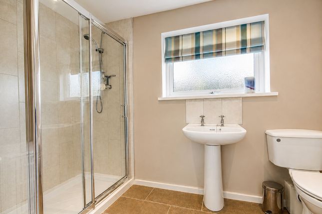 4, Conifer Close, Durham photo 4