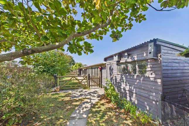 Archway Cottage, Shute Lane, Long Sutton photo 3
