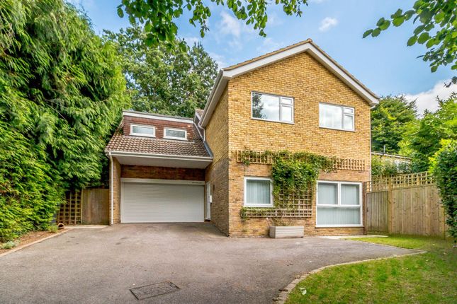 Thumbnail Detached house to rent in Cinder Path, Woking, Surrey