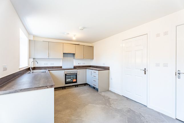 Plot 74, Milford, Tulip Fields, Spalding photo 3