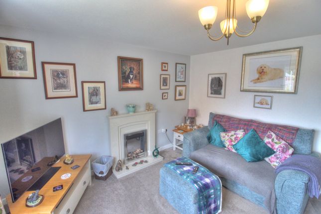 12 Broome Drive, Togston Park, Morpeth photo 2