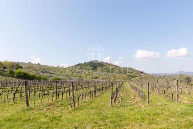 Villa for sale in Pelago, Firenze, Tuscany