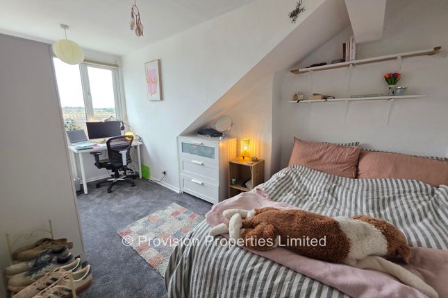 Ebor Mount, Hyde Park photo 5