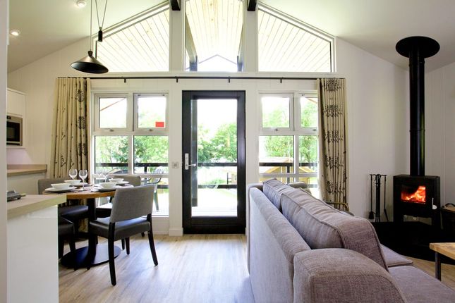 Loch Tay Highland Lodges, Milton Morenish Estate, Killin photo 5