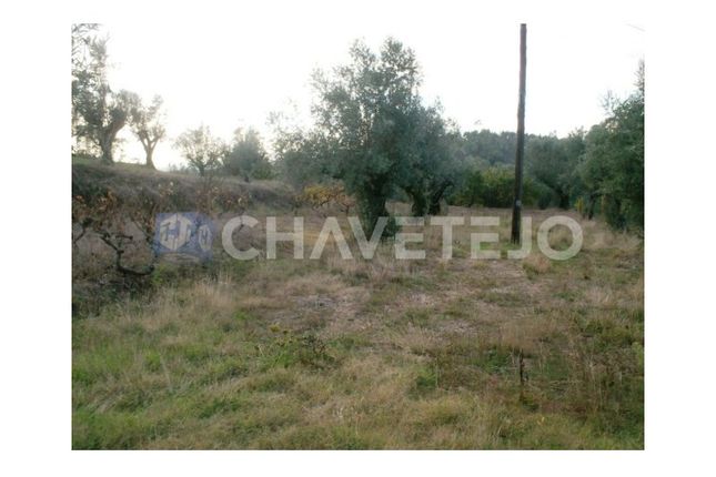Land for sale in Serra E Junceira, Tomar, Santarém