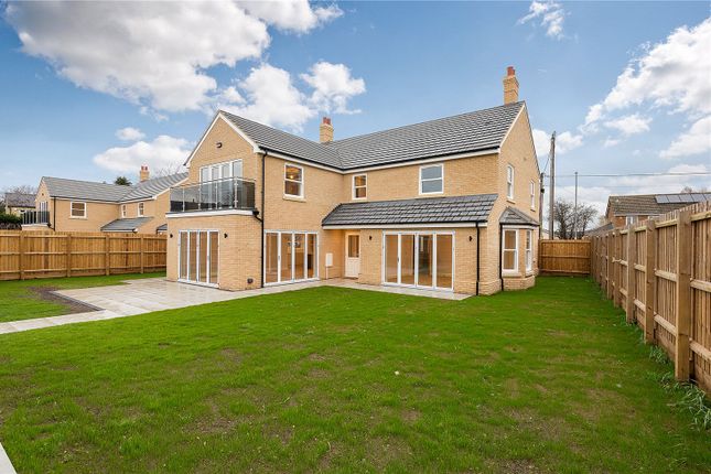 Thumbnail Detached house for sale in Bluntisham Road, Colne, Huntingdon, Cambridgeshire