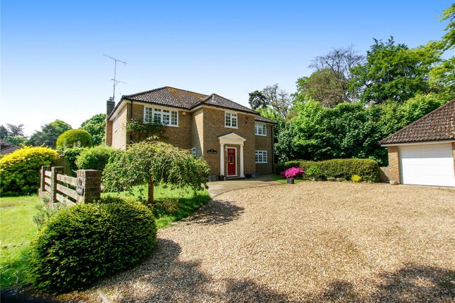 Thumbnail Detached house for sale in Phoenix Court, Hartley Wintney, Hook, Hampshire