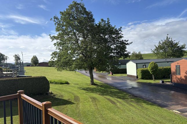 7, Wild Rose Holiday Park, Appleby-in-Westmorland photo 2