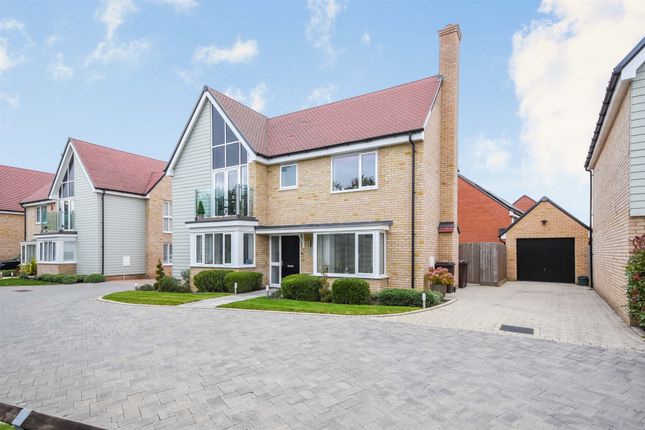 Thumbnail Detached house for sale in Mashie Link, Channels, Chelmsford