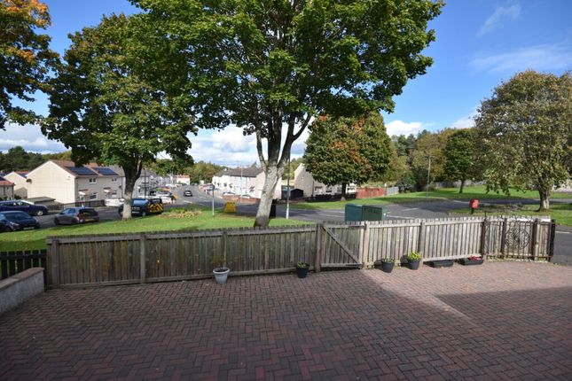 65, North Dryburgh Road, Wishaw photo 4